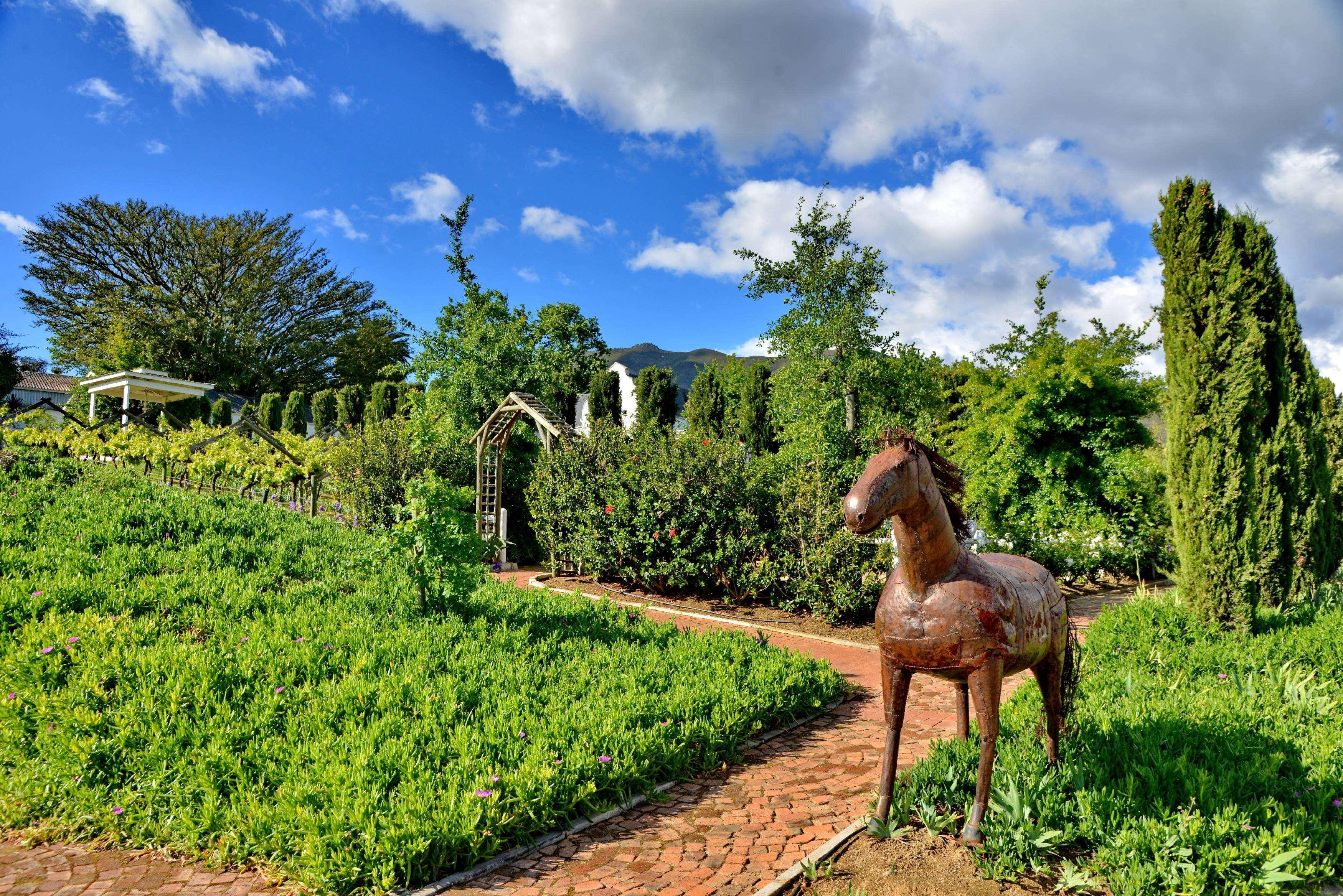Hotel Val Du Charron Wine & Leisure Estate Wellington Exteriér fotografie