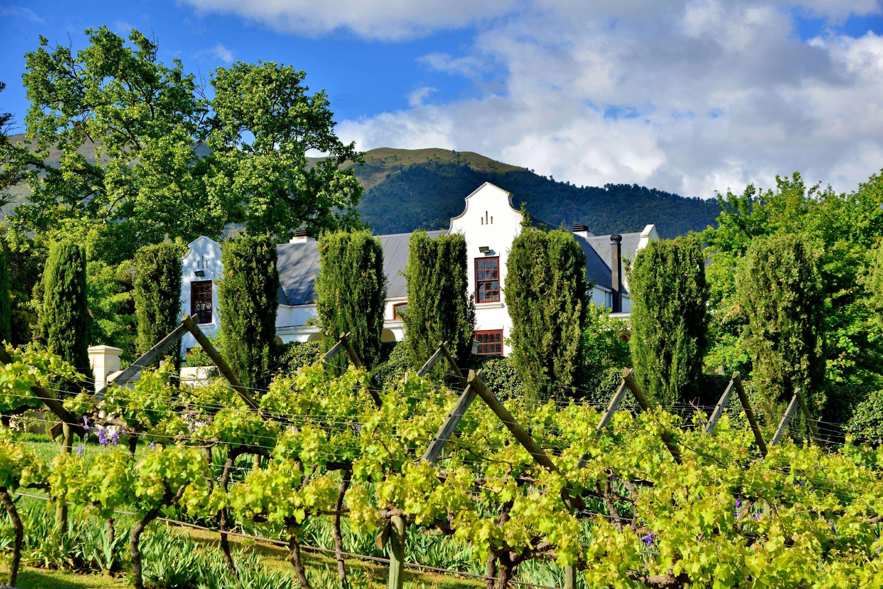 Hotel Val Du Charron Wine & Leisure Estate Wellington Exteriér fotografie